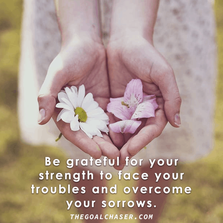 20 Funny Gratitude Quotes & Memes - Because Life Isn't Always Rosy...