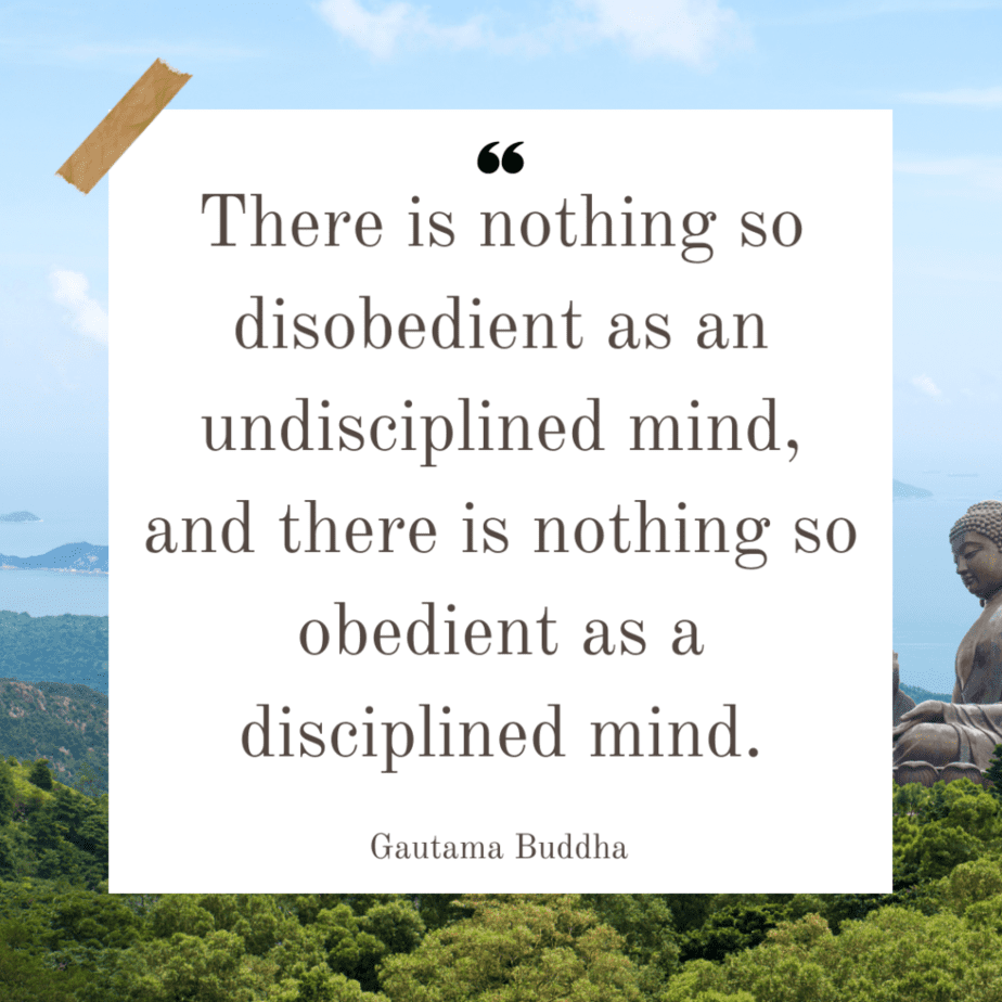 Buddha Consciousness Quotes