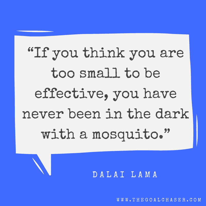 Dalai Lama Mosquito quote
