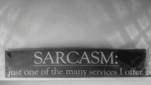 46 Epic Sarcastic Quotes - The Goal Chaser