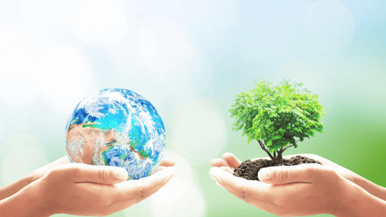 Inspirational Quotes About The Environment (Earth Day, Every Day)