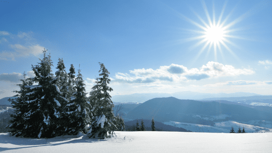 Winter Sun Quotes