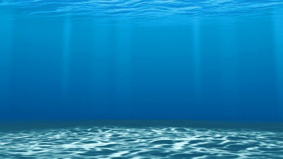 100+ Words To Describe The Ocean 🌊 – Adjectives For the Sea