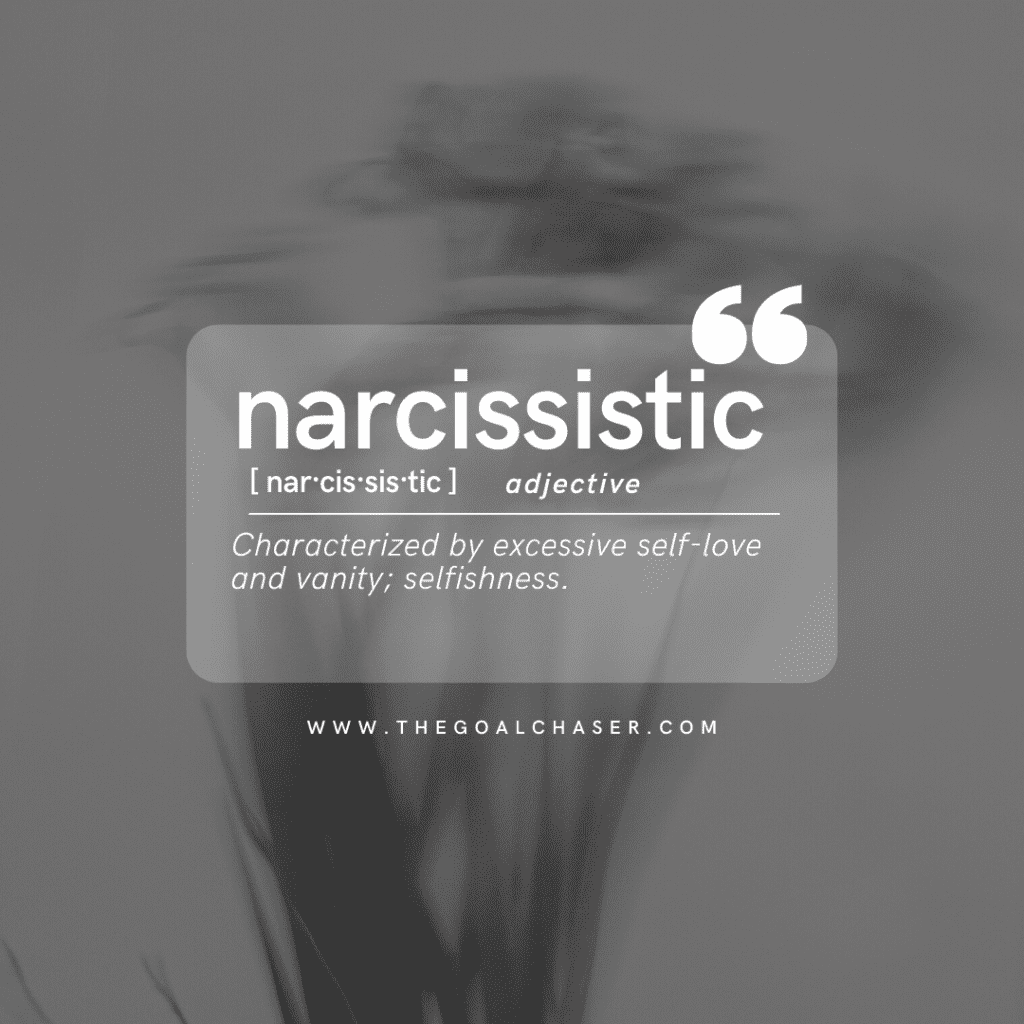 definition of 'narcissistic'