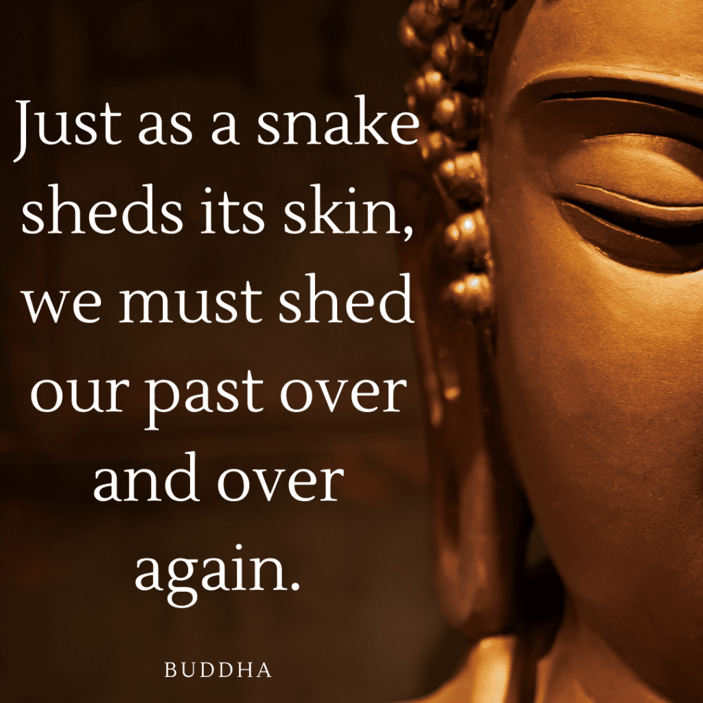 buddha quotes on life