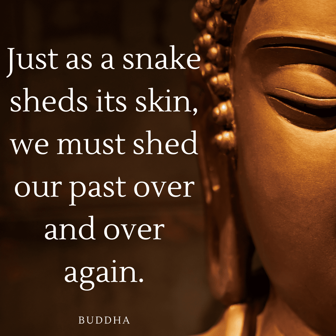 buddha quotes