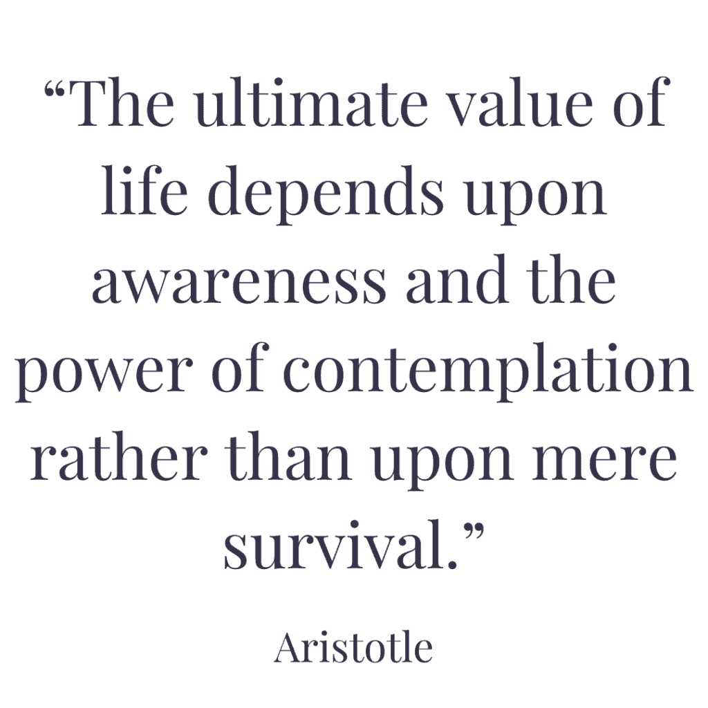 contemplation quotes Aristotle