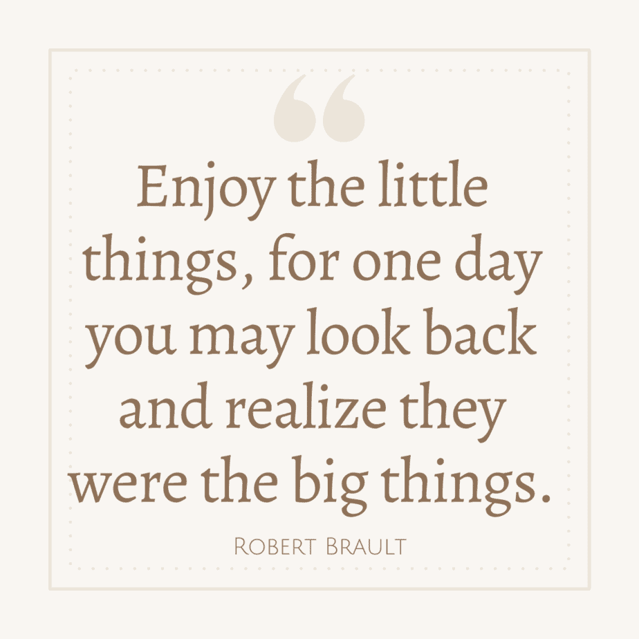 Quotes About Enjoying The Little Things In Life - The Goal Chaser