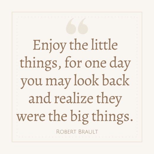 Quotes About Enjoying The Little Things In Life - The Goal Chaser