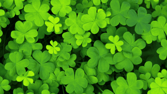 Good Luck Affirmations – 60 Affirmations For Luck & Fortune 🍀