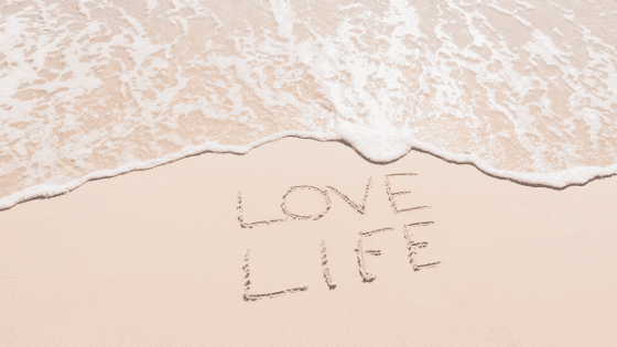 Quotes About Loving Life