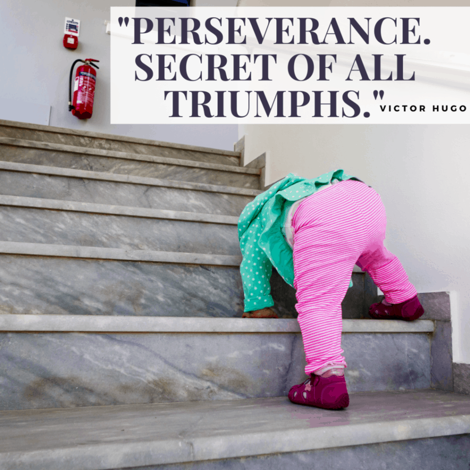 quotes about being persistent