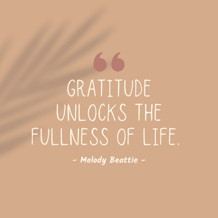 Short Gratitude Quotes For A Quick Mindset Boost