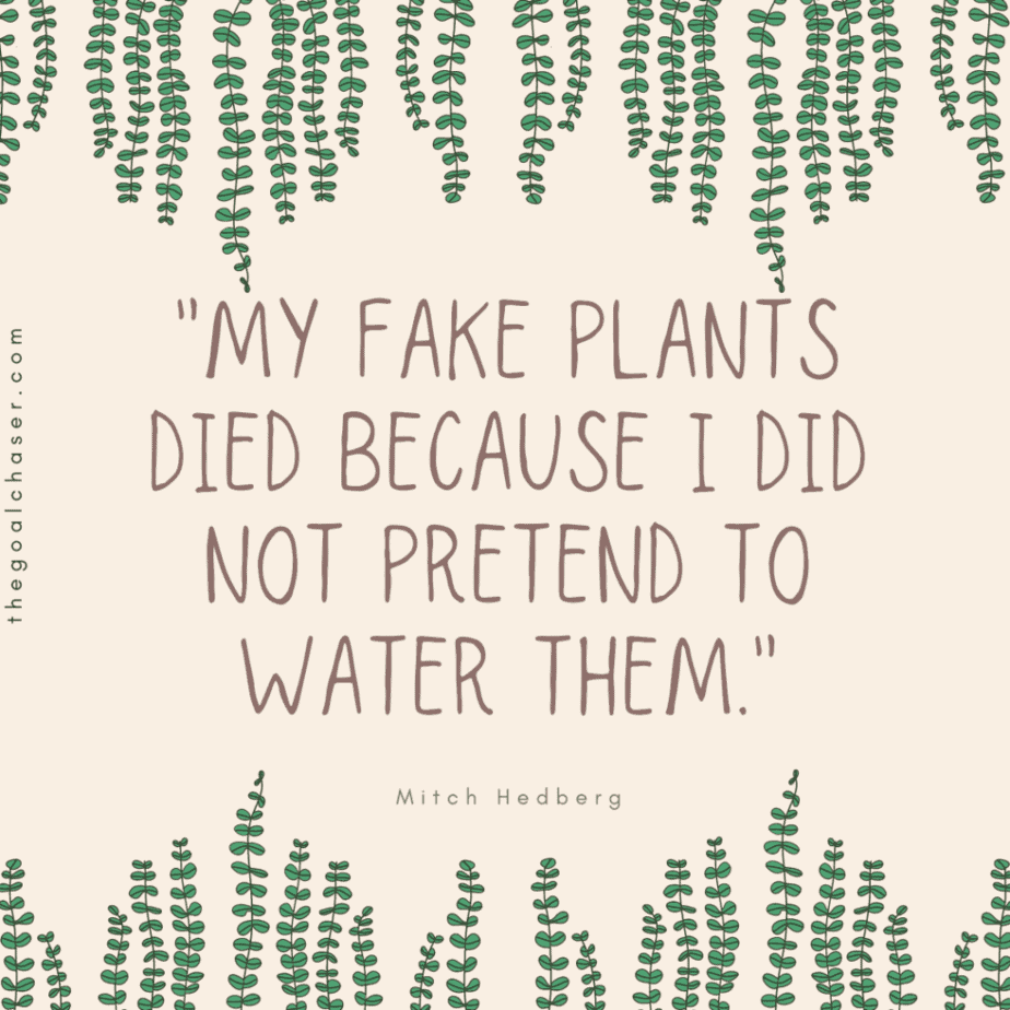 really funny quote fake plants