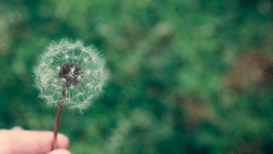 44 Short Positive Quotes For An Inspired Life - The Goal Chaser