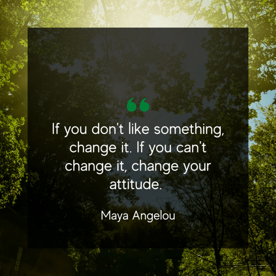 short positive quotes Maya Angelou